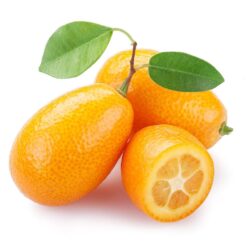 KUMQUAT