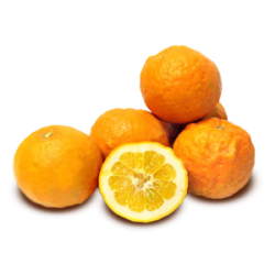 ORANGES AMERES